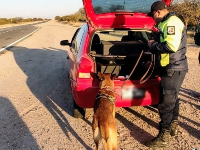 Imagen de WhatsApp 2024-07-19 a las 20.31.41_d597d1b2.jpg