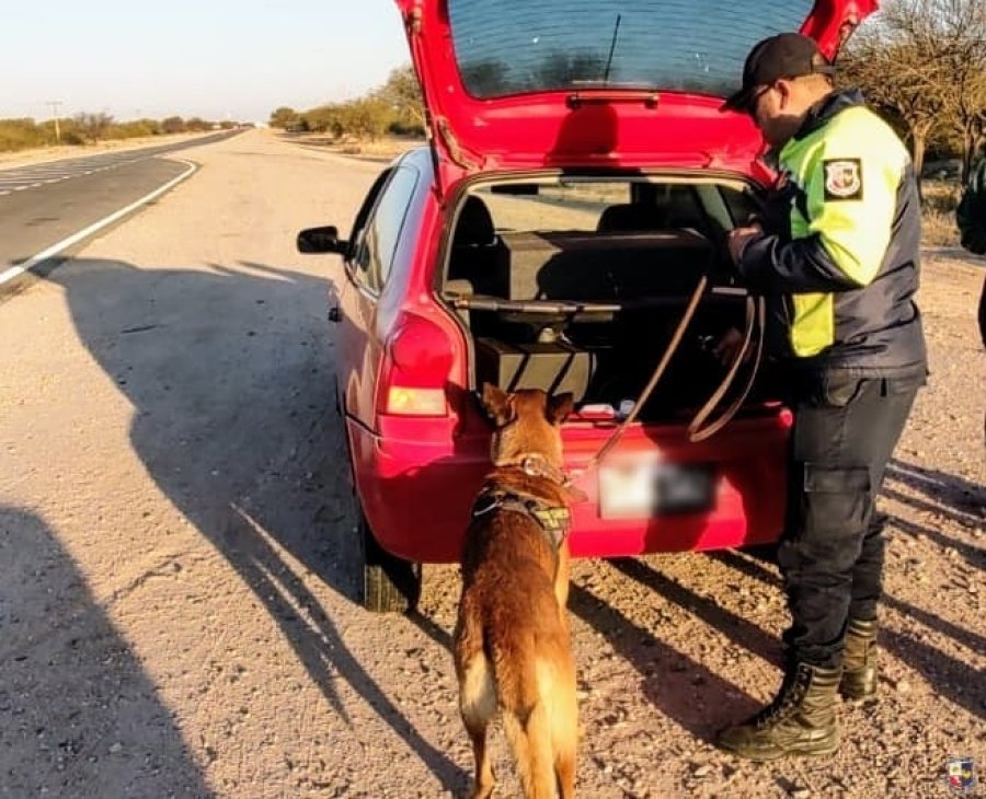 Imagen de WhatsApp 2024-07-19 a las 20.31.41_d597d1b2.jpg