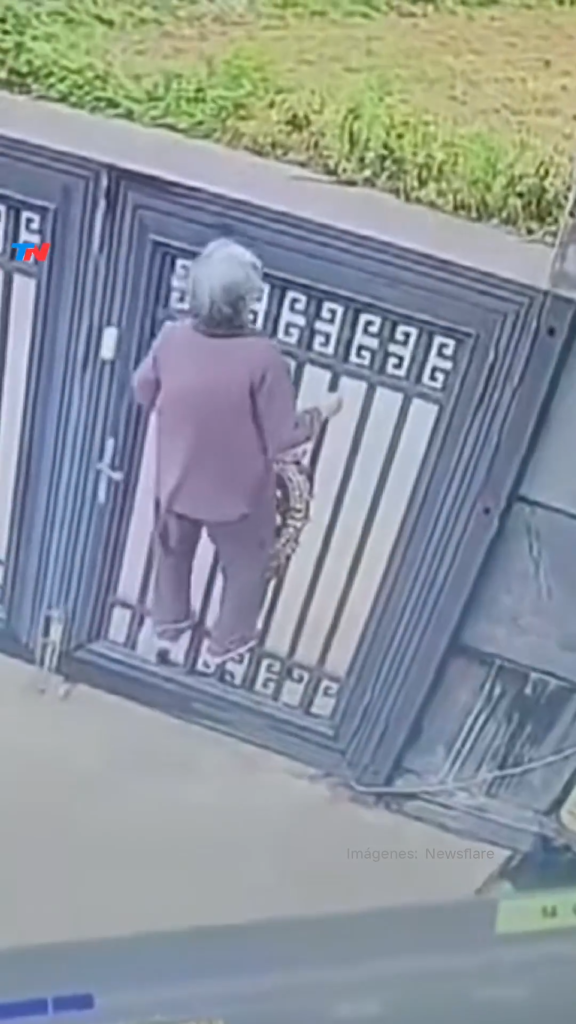 videoframe_1438.png