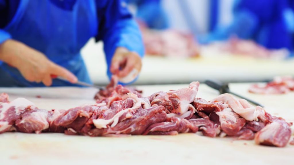 CARNE.jpg