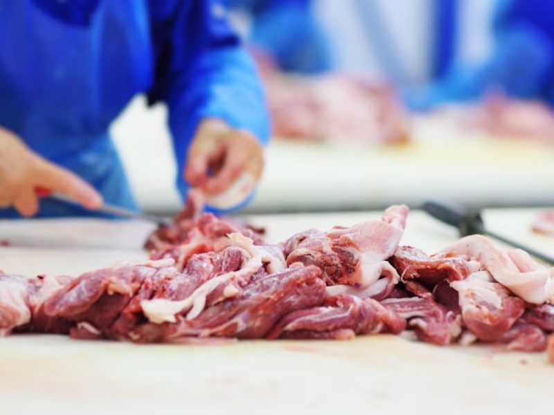 CARNE.jpg