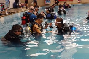 10-BUCEO-1-930x620-transformed.jpeg