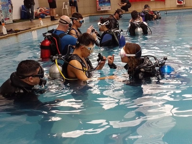 10-BUCEO-1-930x620-transformed.jpeg
