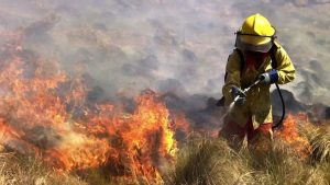 BOMBERO.jpg