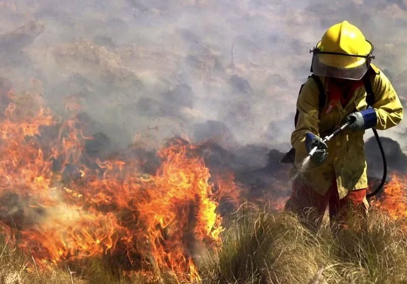 BOMBERO.jpg