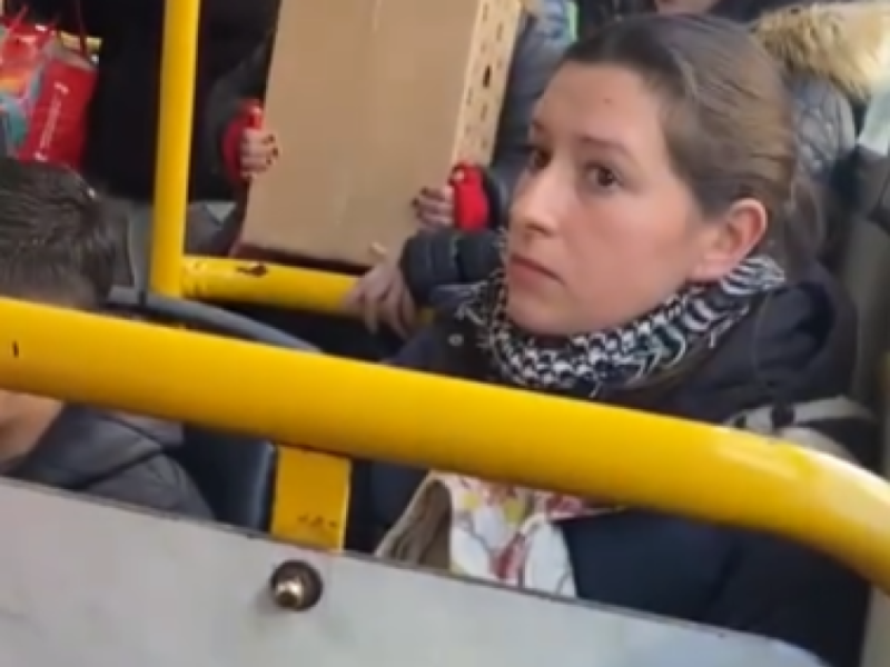 El perro estaba dentro de la caja