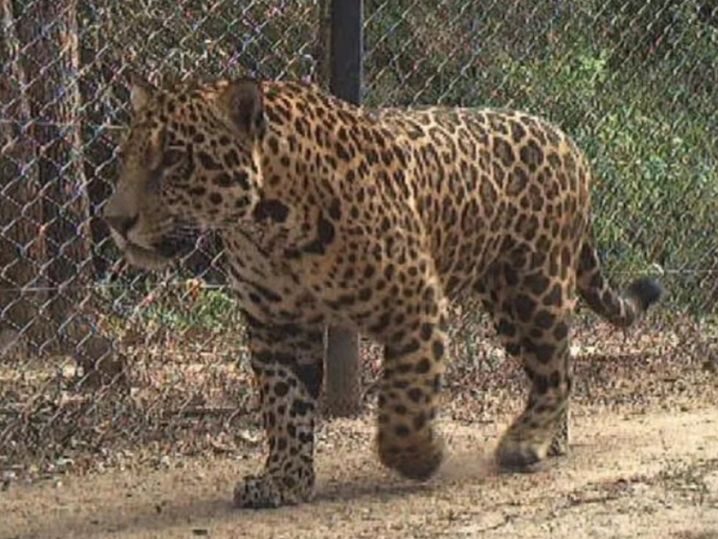 Captura de pantalla 2024-08-01 074759.png