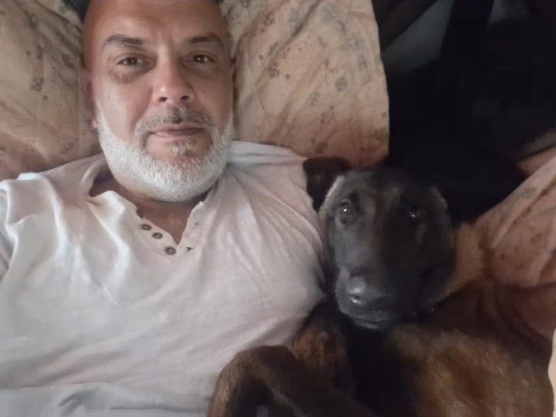 PERRO.jpg