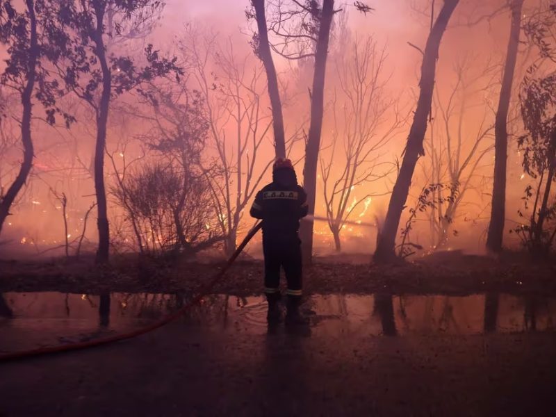 INCENDIO.jpg