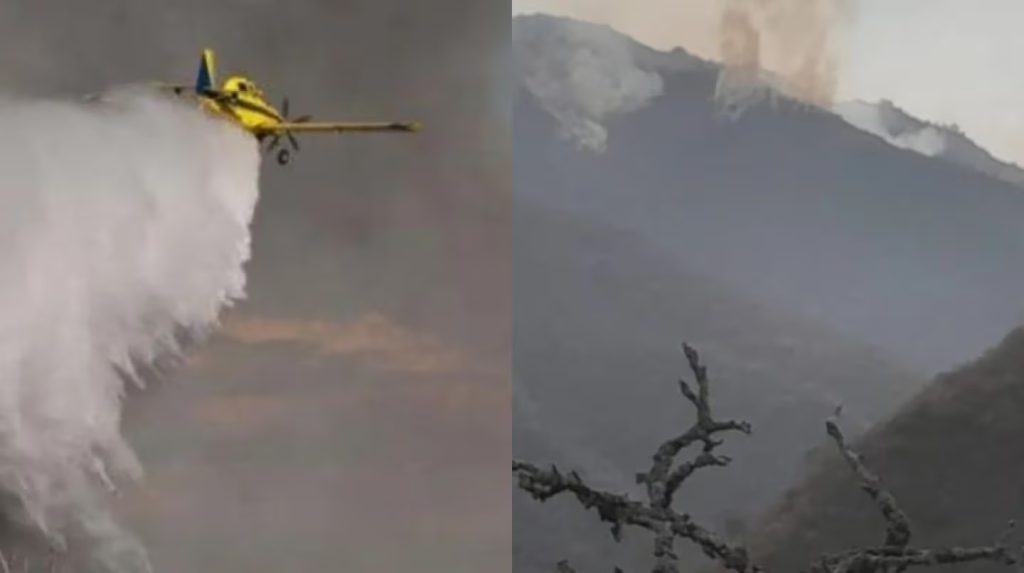 AVIONETA.jpg