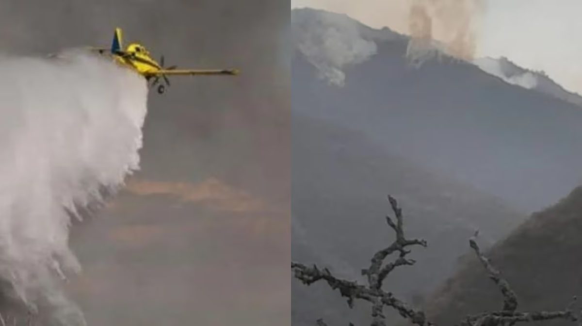 AVIONETA.jpg