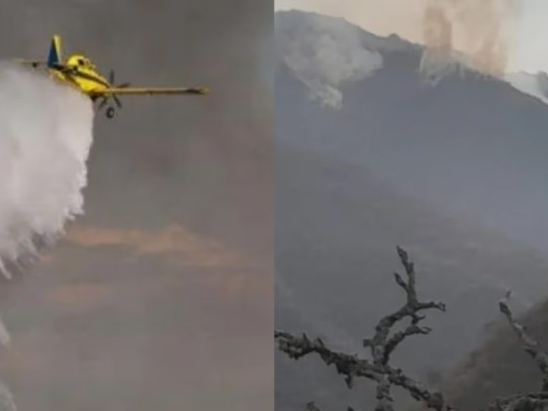 AVIONETA.jpg