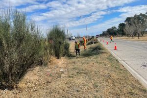 Cantero-central_Autopista-4.jpg
