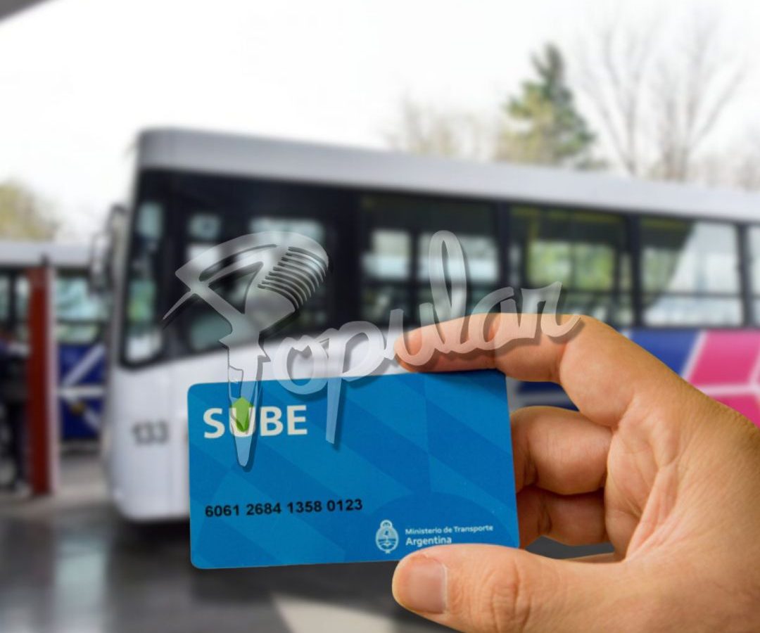 SUBE TRANSPUNTANO.jpg