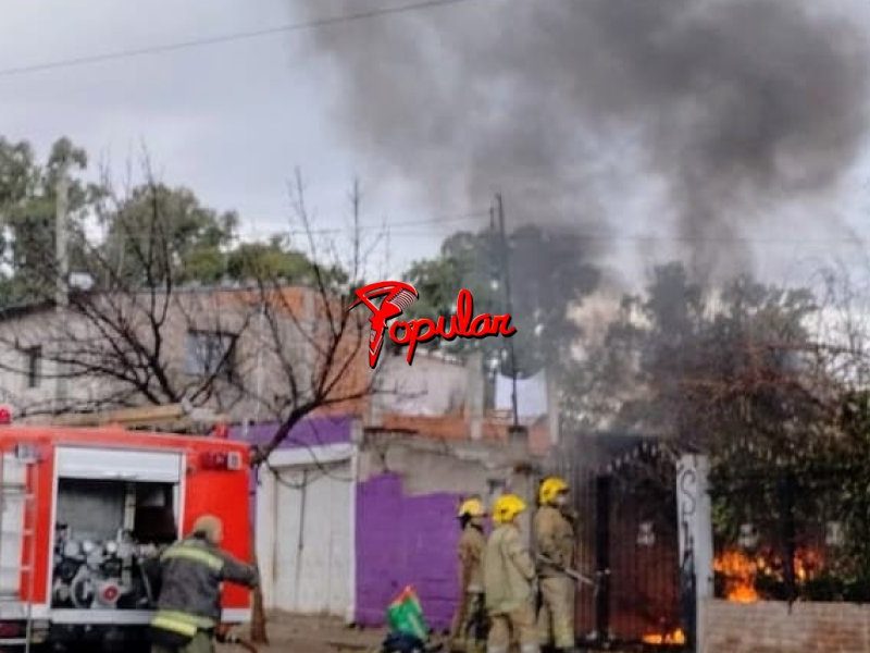 Imagen de WhatsApp 2024-08-24 a las 21.06.56_87de1918.jpg