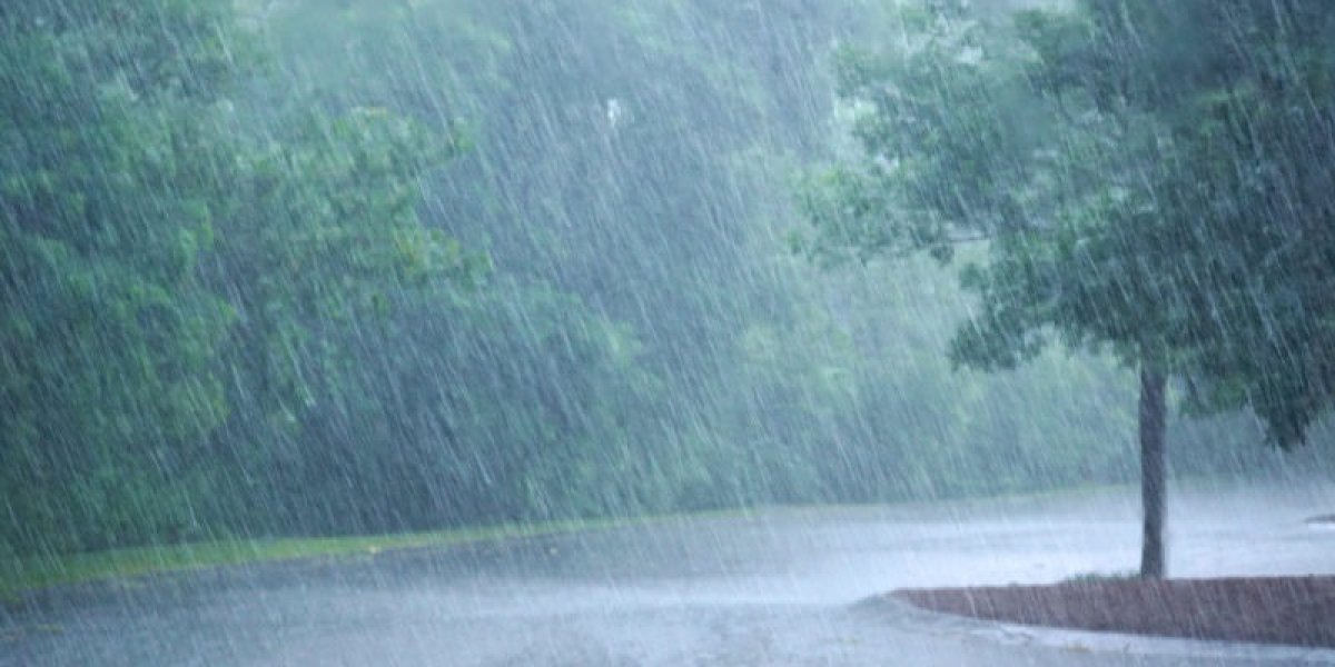 LLUVIA.jpg