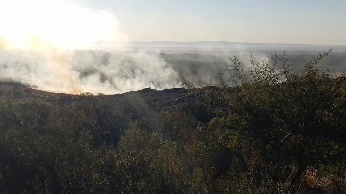incendios.jpg