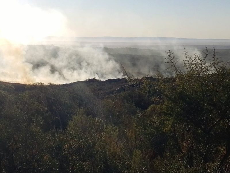 incendios.jpg