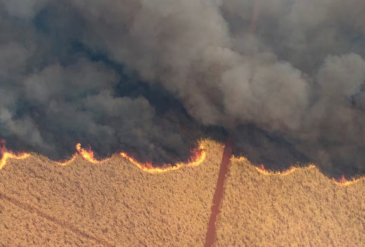 INCENDIOS.jpg