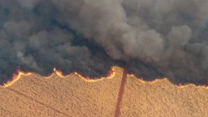 INCENDIOS.jpg