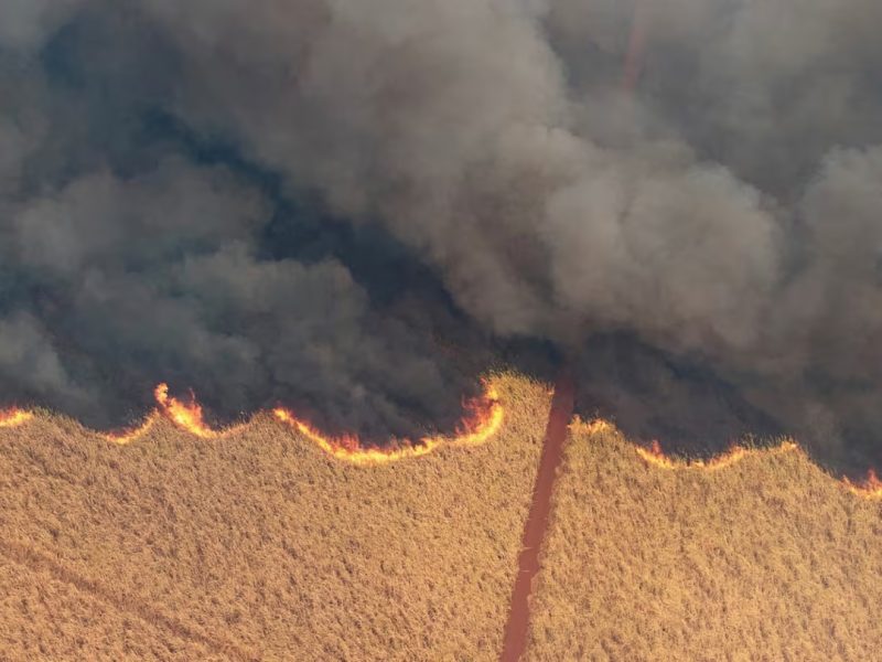 INCENDIOS.jpg
