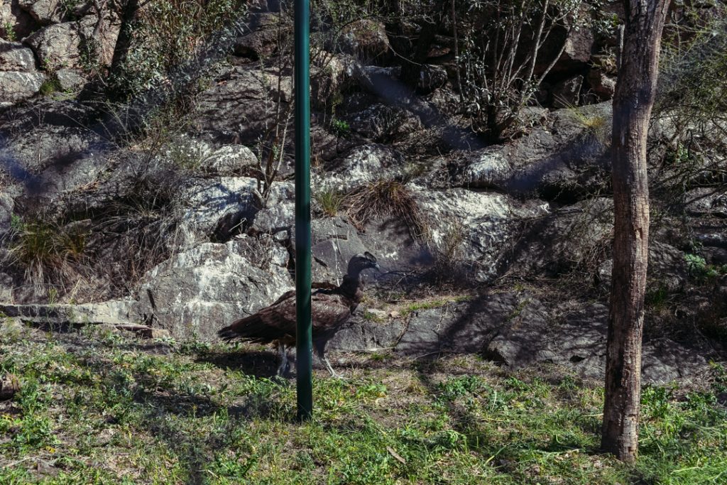 DSC_6979.jpg