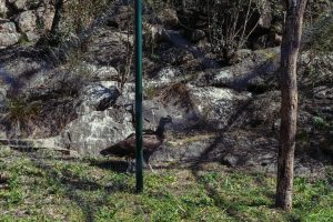 DSC_6979.jpg