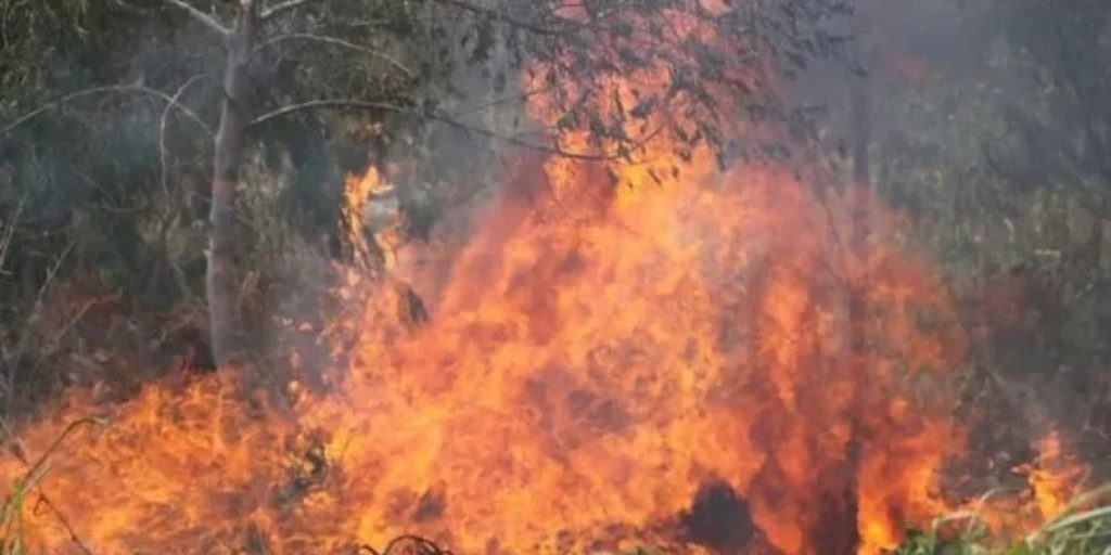 INCENDIO BOLIVIA.jpg
