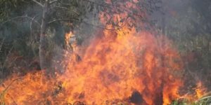 INCENDIO BOLIVIA.jpg
