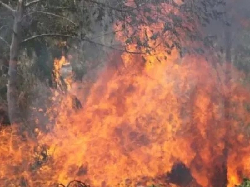 INCENDIO BOLIVIA.jpg