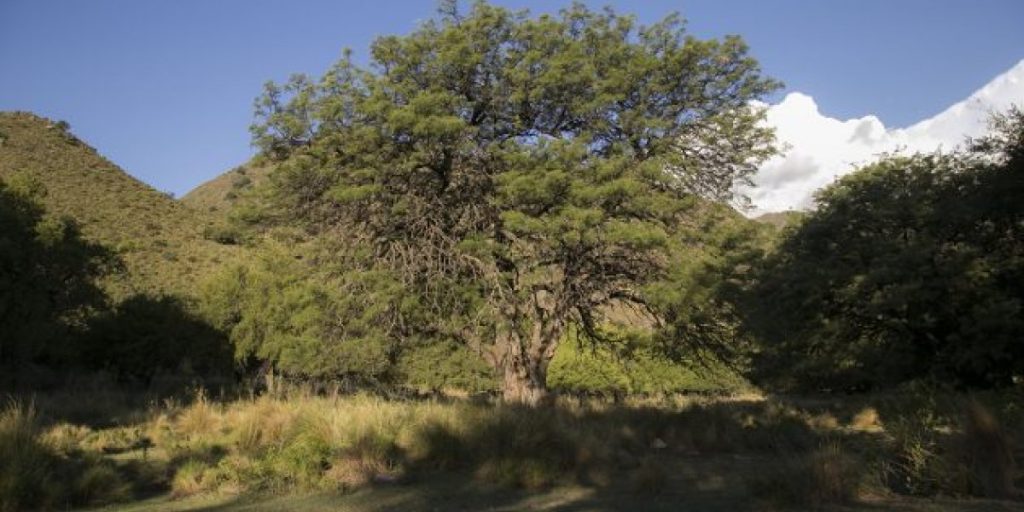 6aa-630x420-1.jpg