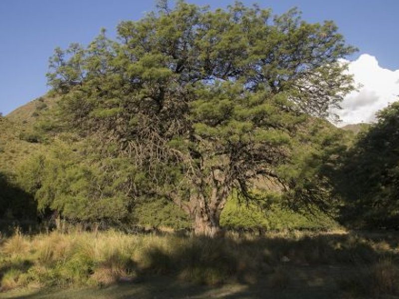6aa-630x420-1.jpg
