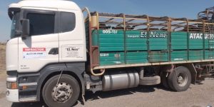 WhatsApp Image 2024-09-28 at 22.02.44.jpeg