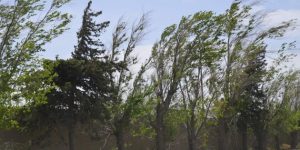 viento-630x417.jpg