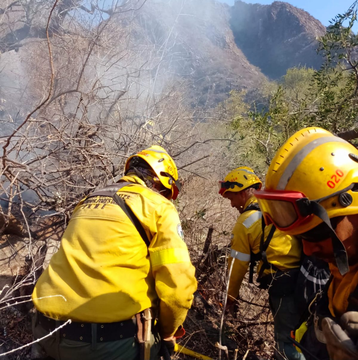 WhatsApp-Image-2024-10-03-at-11.36.58.jpeg