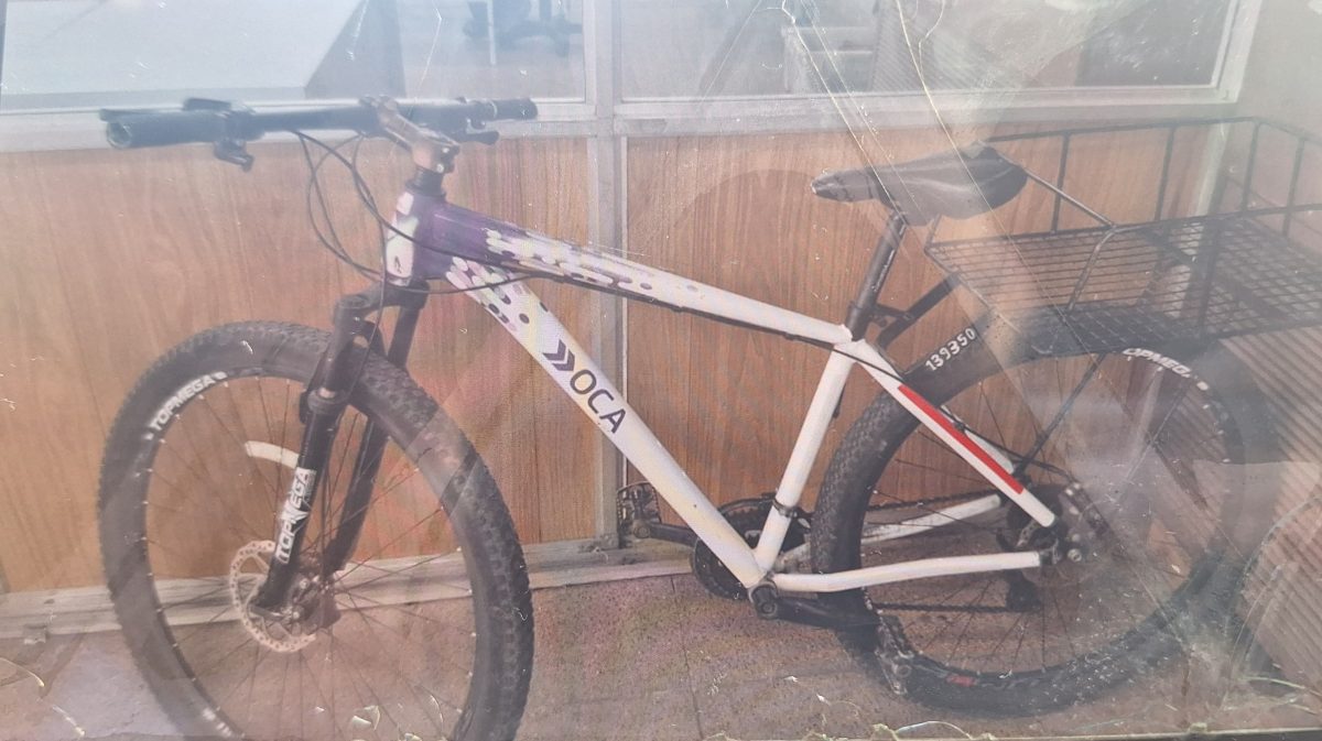 WhatsApp Image 2024-10-28 at 09.20.47 (1).jpeg