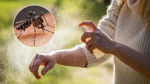 DENGUE.jpg