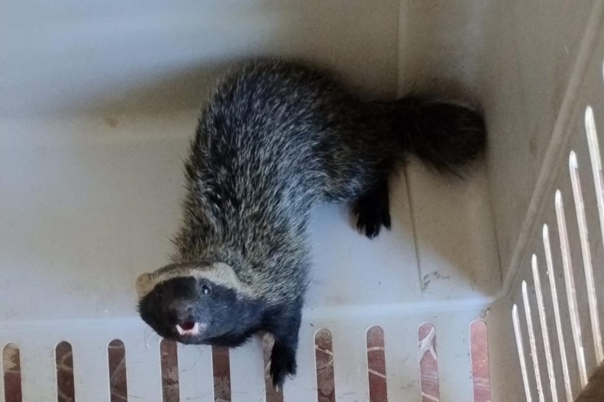 WhatsApp-Image-2024-10-30-at-17.21.49-1536x1024.jpg
