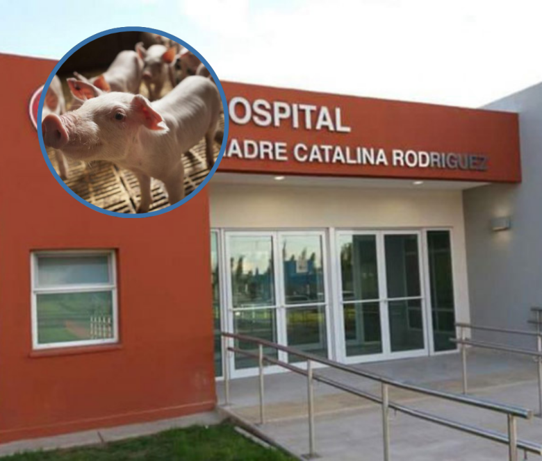 Diseño sin título.png