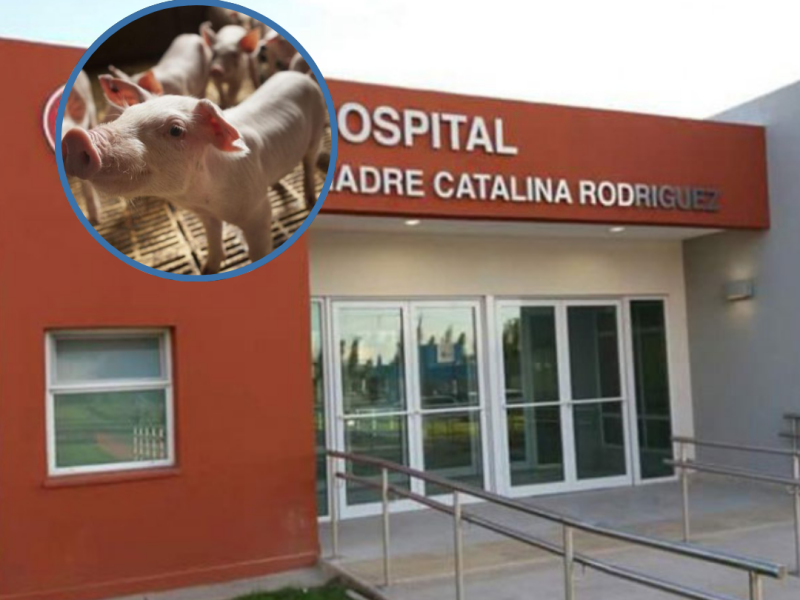 Diseño sin título.png