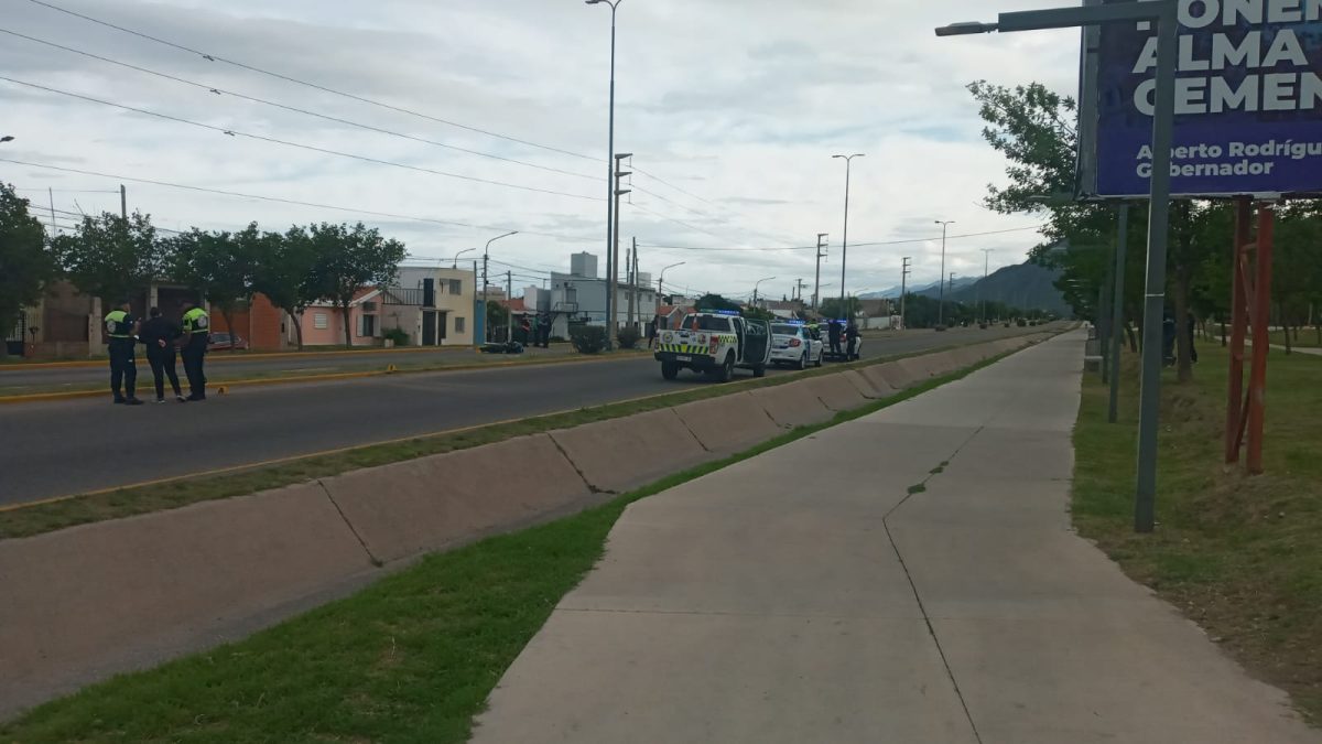 Imagen de WhatsApp 2024-11-03 a las 08.30.21_cf6e4365.jpg