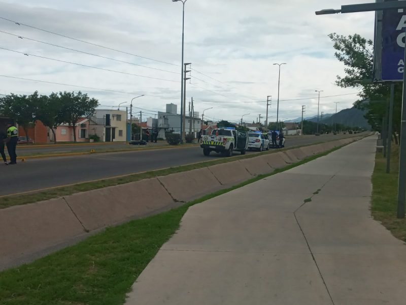Imagen de WhatsApp 2024-11-03 a las 08.30.21_cf6e4365.jpg