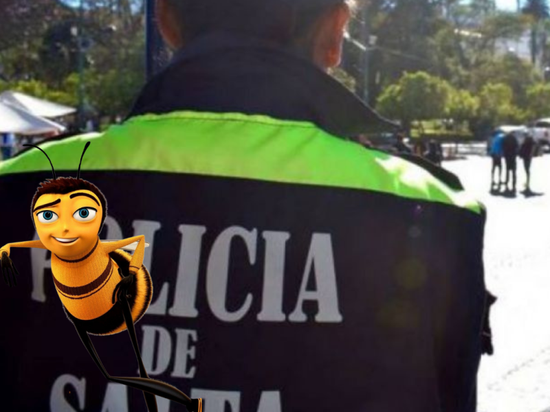 para editar.png