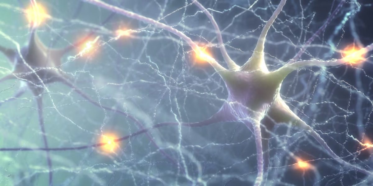 neuronas.jpg