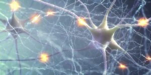neuronas.jpg