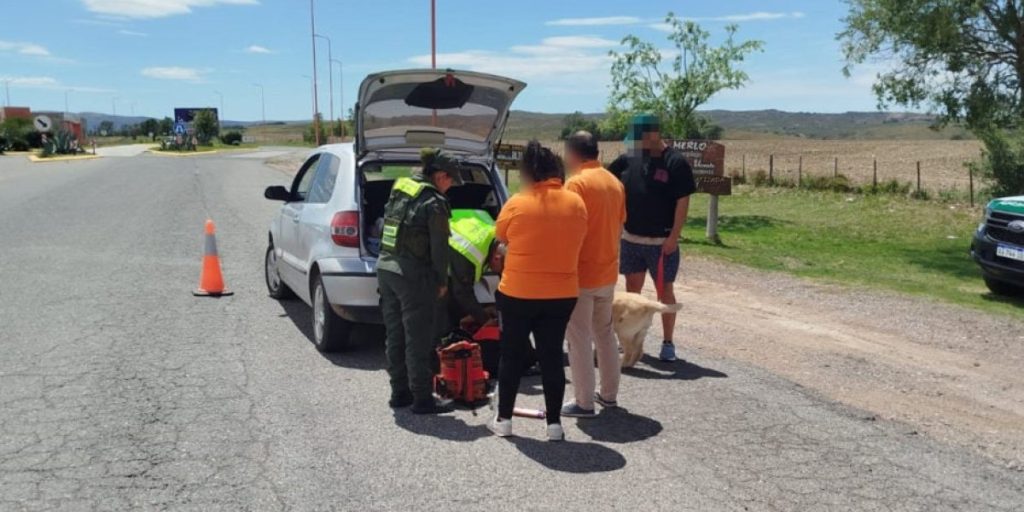 San-Luis-marihuana-1-e1730740399349-930x556.jpg