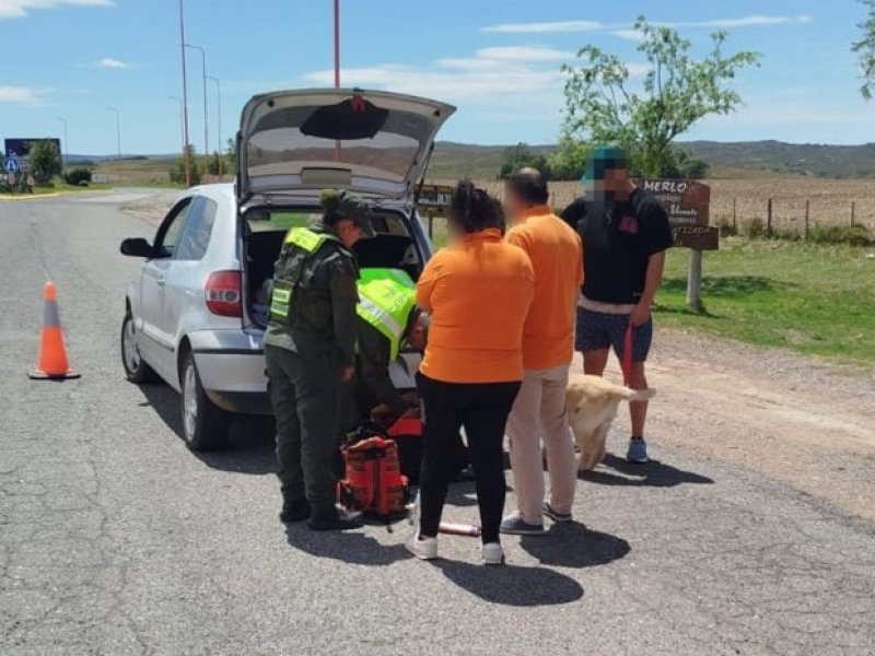 San-Luis-marihuana-1-e1730740399349-930x556.jpg