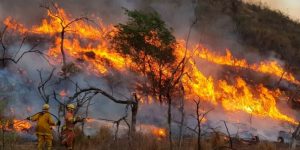 incendio1-678x386.jpg