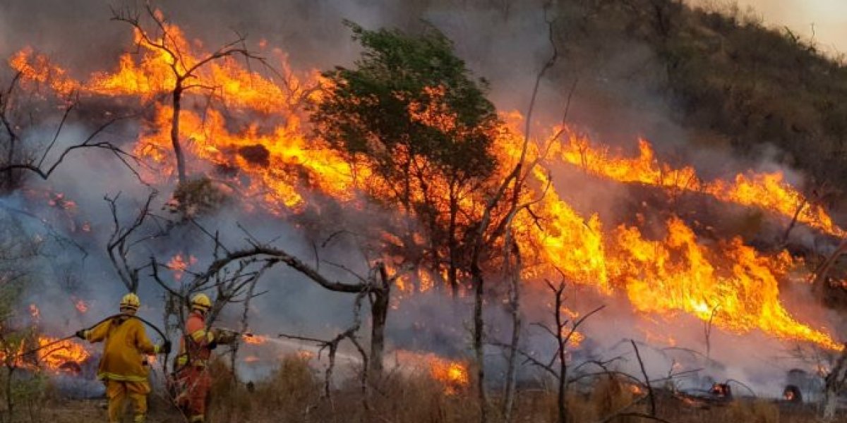 incendio1-678x386.jpg