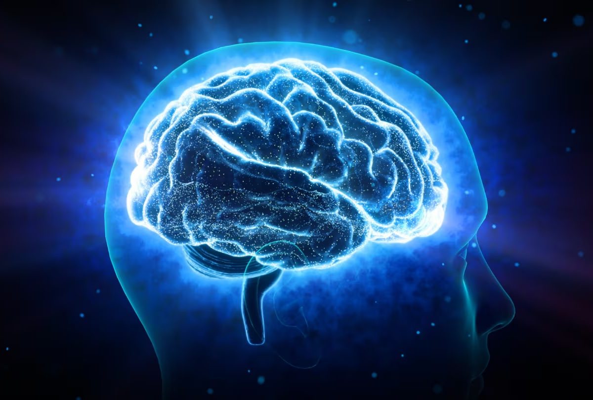 CEREBRO.jpg